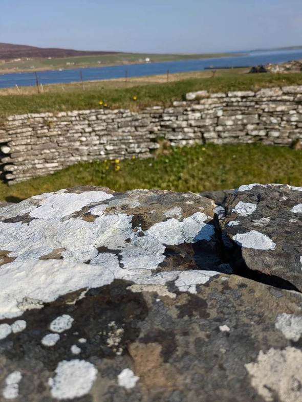 Pale lichen on the castle walls, with grass, blue sea and fields beyond