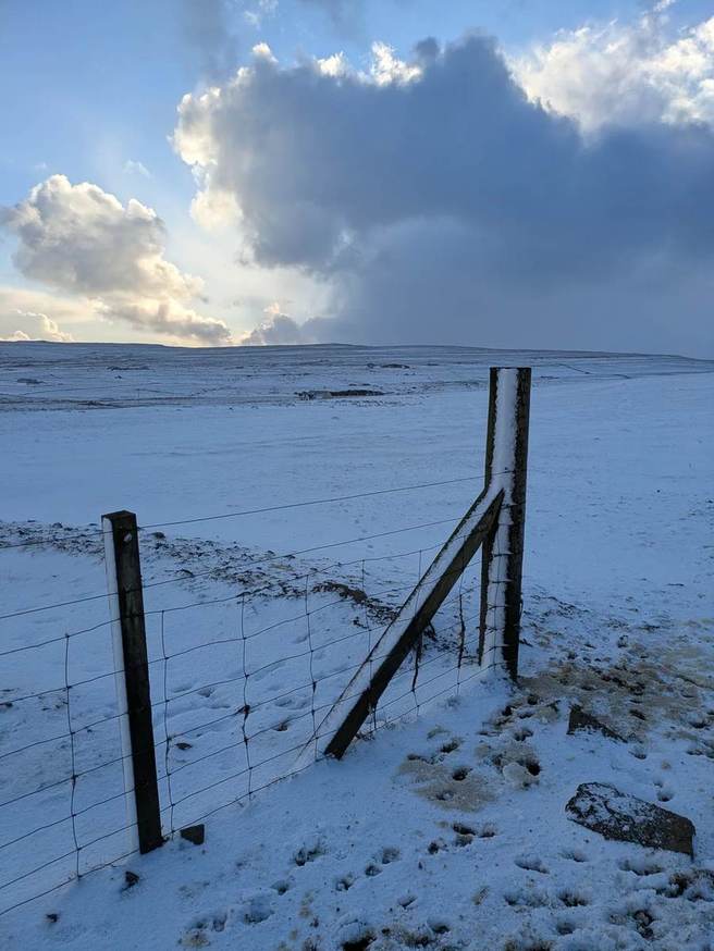 Snow-covered wooden fence posts and wire across white fields on Rousay beneath tall clouds